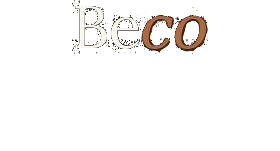 Beco Local